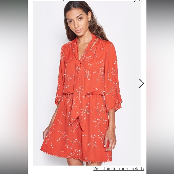 JOIE DAKODA MINIMALIST FLORAL PRINT DRESS IN AUTUMN - Picture 5 of 11